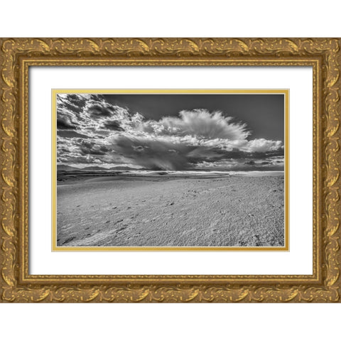 USA- New Mexico- White Sands National Park. Black and white Gold Ornate Wood Framed Art Print with Double Matting by Jaynes Gallery
