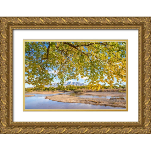 USA- New Mexico- Sandoval County. Sandia Mountains and Rio Grande River in autumn. Gold Ornate Wood Framed Art Print with Double Matting by Jaynes Gallery