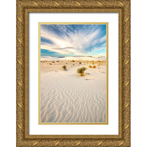 USA- New Mexico- White Sands National Monument. Yucca in white sand. Gold Ornate Wood Framed Art Print with Double Matting by Jaynes Gallery