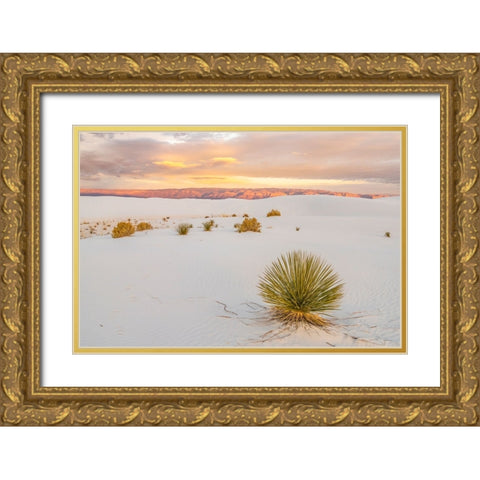 USA- New Mexico- White Sands National Monument. Sand dunes and yucca cactus. Gold Ornate Wood Framed Art Print with Double Matting by Jaynes Gallery