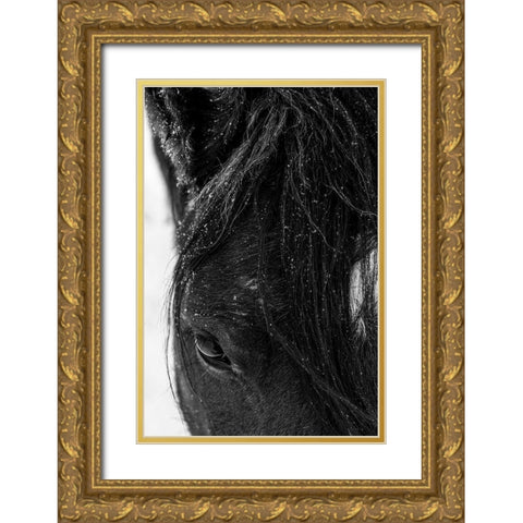 Winter light on Mustang-New Mexico Gold Ornate Wood Framed Art Print with Double Matting by Pryor, Maresa