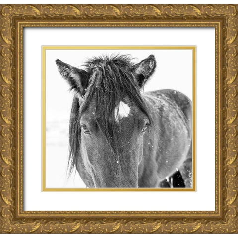 Horse in standing in snowy weather-Edgewood-New Mexico Gold Ornate Wood Framed Art Print with Double Matting by Pryor, Maresa