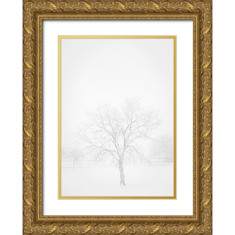 Snowscape in New Mexico Gold Ornate Wood Framed Art Print with Double Matting by Pryor, Maresa