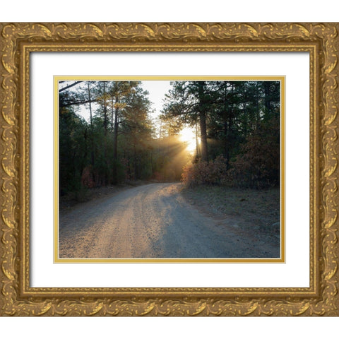 Forest Roads at sunrise-Manzano Mountain Wilderness-Cibola National Forest-New Mexico Gold Ornate Wood Framed Art Print with Double Matting by Pryor, Maresa