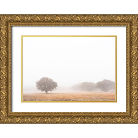 Tree in fog-Bosque del Apache National Wildlife Refuge-New Mexico Gold Ornate Wood Framed Art Print with Double Matting by Pryor, Maresa