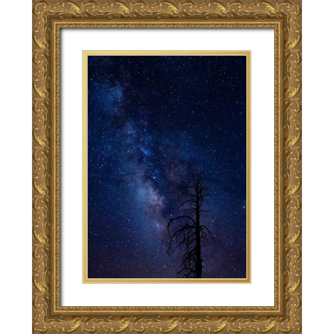 Milky way over the Carson National Forest-Tres Piedras-New Mexico Gold Ornate Wood Framed Art Print with Double Matting by Pryor-Luzier, Maresa