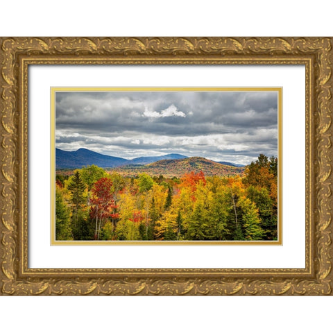 USA-New York-Adirondacks Indian Lake-Fall color at overlook along Route 28 Gold Ornate Wood Framed Art Print with Double Matting by Collins, Ann