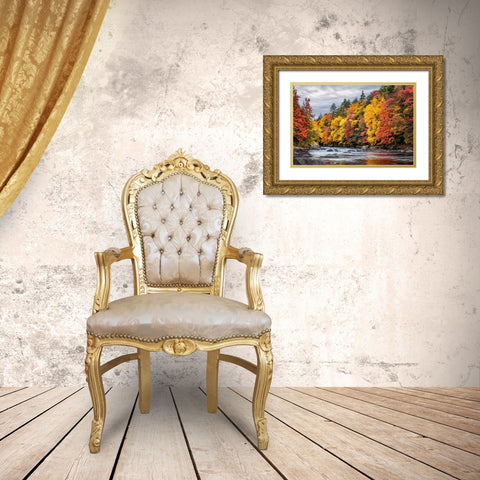 USA-New York-Adirondacks Long Lake-autumn color along the Raquette River Gold Ornate Wood Framed Art Print with Double Matting by Collins, Ann