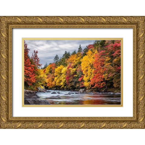 USA-New York-Adirondacks Long Lake-autumn color along the Raquette River Gold Ornate Wood Framed Art Print with Double Matting by Collins, Ann