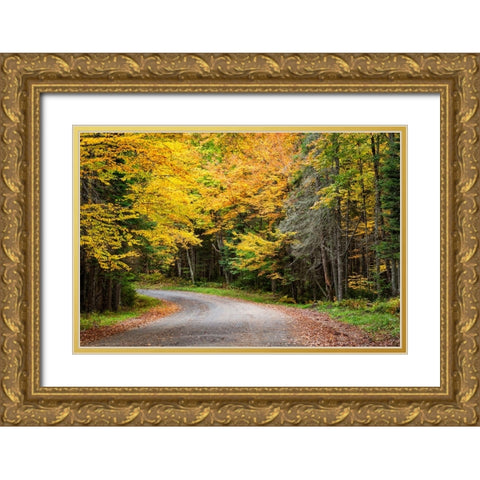 USA-New York-Adirondacks Long Lake-foliage-covered road to Forked Lake Gold Ornate Wood Framed Art Print with Double Matting by Collins, Ann