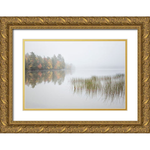USA-New York-Adirondacks Long Lake-reeds-fog-and fall foliage at Eaton Lake Gold Ornate Wood Framed Art Print with Double Matting by Collins, Ann