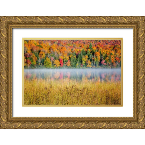 USA-New York-Adirondacks Lake Placid-morning sun at Connery Pond Gold Ornate Wood Framed Art Print with Double Matting by Collins, Ann