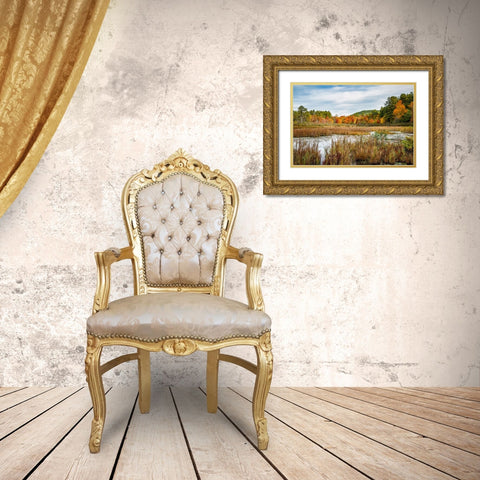 USA-New York-Adirondacks Bolton Landing-forest preserve marsh near Lake George Gold Ornate Wood Framed Art Print with Double Matting by Collins, Ann