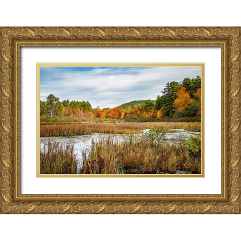 USA-New York-Adirondacks Bolton Landing-forest preserve marsh near Lake George Gold Ornate Wood Framed Art Print with Double Matting by Collins, Ann