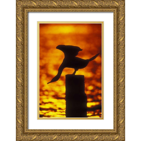 NY, Silhouette of double crested cormorant Gold Ornate Wood Framed Art Print with Double Matting by Morris, Arthur