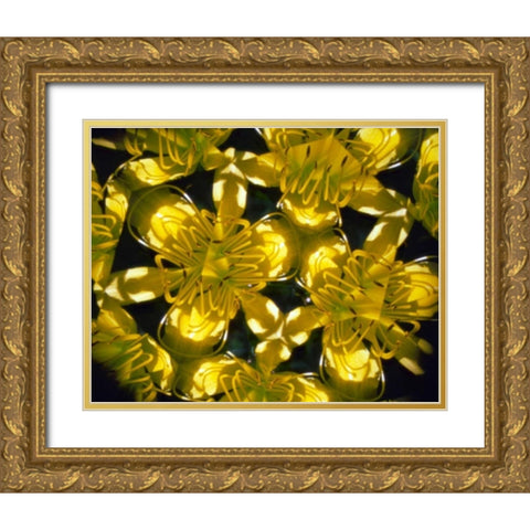 NY, Slingerlands Abstract of Daylilies Gold Ornate Wood Framed Art Print with Double Matting by Noble Gardner, Nancy
