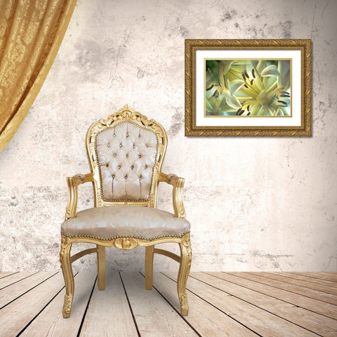 NY, Slingerlands Oriental lilies abstract Gold Ornate Wood Framed Art Print with Double Matting by Noble Gardner, Nancy