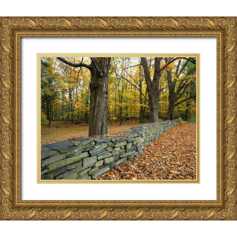 New York, Greene County Hand-built stone fence Gold Ornate Wood Framed Art Print with Double Matting by Terrill, Steve