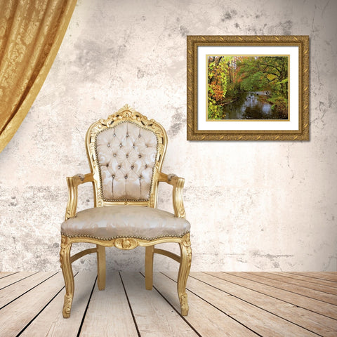 New York Tire swing hangs over Brant Creek Gold Ornate Wood Framed Art Print with Double Matting by Terrill, Steve