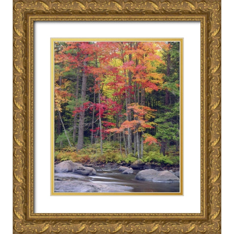 USA, New York, Autumn in the Adirondack Mountains Gold Ornate Wood Framed Art Print with Double Matting by Talbot Frank, Christopher