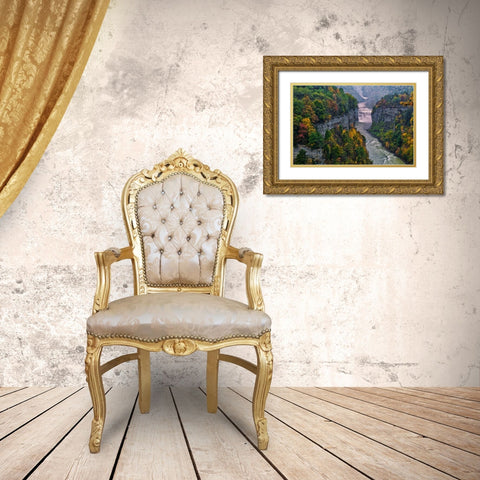 NY, Letchworth SP River and waterfall in canyon Gold Ornate Wood Framed Art Print with Double Matting by OBrien, Jay