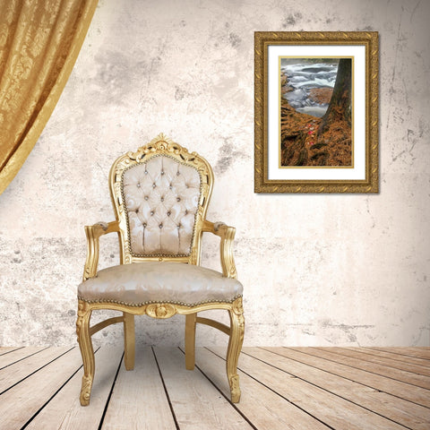 USA, New York, Inlet Mist over rushing stream Gold Ornate Wood Framed Art Print with Double Matting by OBrien, Jay