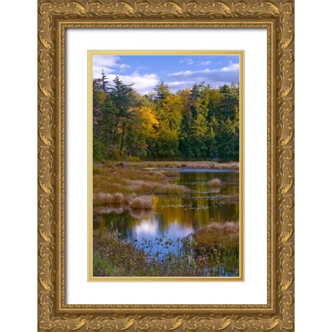 NY, Adirondack Mts Forest reflections in pond Gold Ornate Wood Framed Art Print with Double Matting by Rotenberg, Nancy
