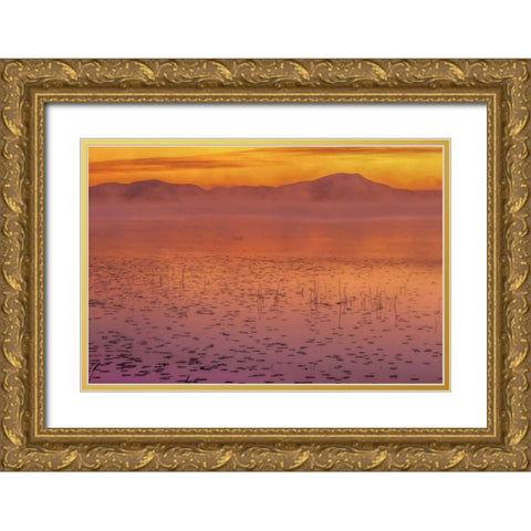 New York, Adirondack Mts Mist on Raquette Lake Gold Ornate Wood Framed Art Print with Double Matting by OBrien, Jay