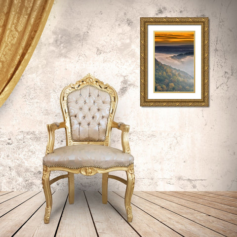 New York, Letchworth SP Foggy landscape, sunrise Gold Ornate Wood Framed Art Print with Double Matting by OBrien, Jay