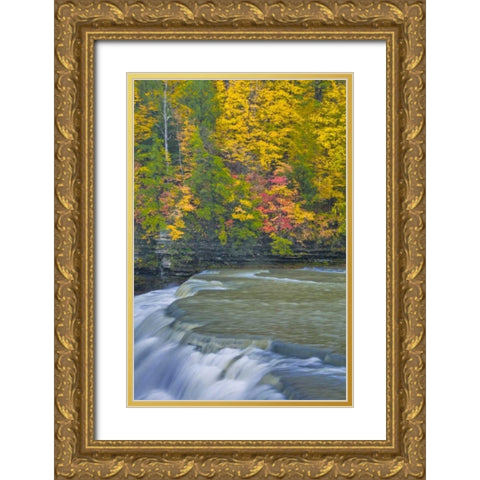 NY, Letchworth SP Waterfall and forest scenic Gold Ornate Wood Framed Art Print with Double Matting by OBrien, Jay