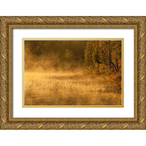 New York, Adirondack Mts Mist on Raquette Lake Gold Ornate Wood Framed Art Print with Double Matting by OBrien, Jay
