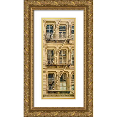 USA-New York Windows and fire escapes Gold Ornate Wood Framed Art Print with Double Matting by Looney, Hollice