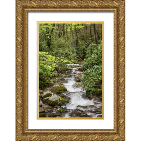 Cascading mountain stream-Great Smoky Mountains National Park-Tennessee-North Carolina Gold Ornate Wood Framed Art Print with Double Matting by Jones, Adam
