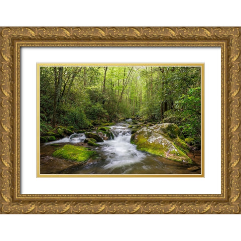 Cascading mountain stream-Great Smoky Mountains National Park-Tennessee-North Carolina Gold Ornate Wood Framed Art Print with Double Matting by Jones, Adam
