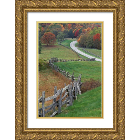 NC, Rail fence and country road in fall landscape Gold Ornate Wood Framed Art Print with Double Matting by Rotenberg, Nancy