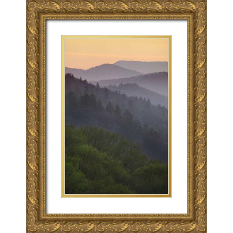 North Carolina Oconaluftee Overlook at sunrise Gold Ornate Wood Framed Art Print with Double Matting by Flaherty, Dennis