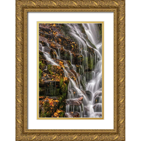 North Carolina, Brevard Waterfall in DuPont SF Gold Ornate Wood Framed Art Print with Double Matting by OBrien, Jay