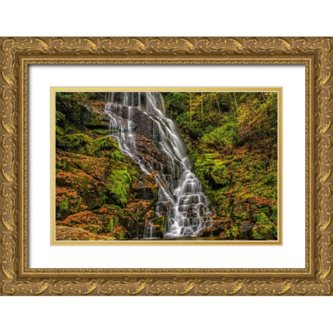 North Carolina, Brevard Waterfall in DuPont SF Gold Ornate Wood Framed Art Print with Double Matting by OBrien, Jay