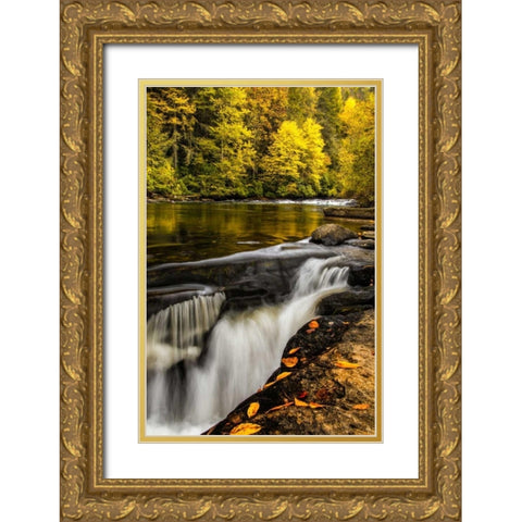 North Carolina, Brevard Landscape in Pisgah NF Gold Ornate Wood Framed Art Print with Double Matting by OBrien, Jay
