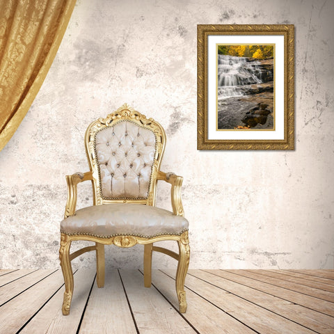 North Carolina, Brevard Waterfall in DuPont SF Gold Ornate Wood Framed Art Print with Double Matting by OBrien, Jay