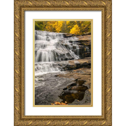 North Carolina, Brevard Waterfall in DuPont SF Gold Ornate Wood Framed Art Print with Double Matting by OBrien, Jay