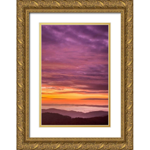 North Carolina, Brevard Landscape in Pisgah NF Gold Ornate Wood Framed Art Print with Double Matting by OBrien, Jay