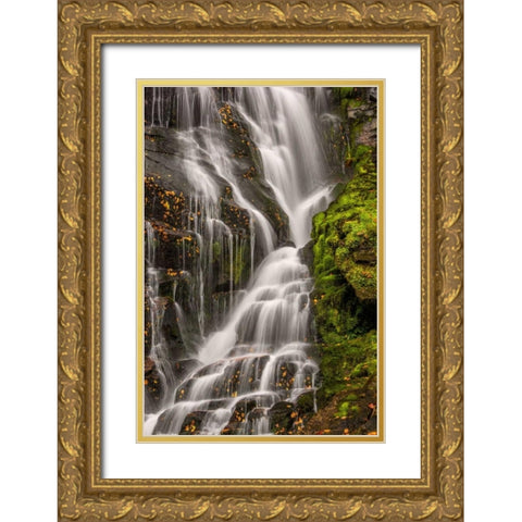 North Carolina, Brevard Waterfall in DuPont SF Gold Ornate Wood Framed Art Print with Double Matting by OBrien, Jay