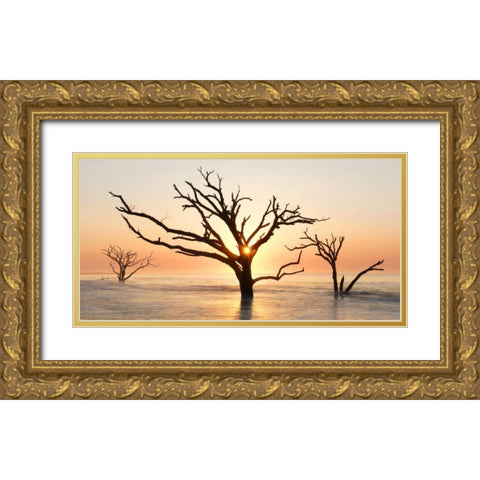 North Carolina Sunrise at Botany Bay Preserve Gold Ornate Wood Framed Art Print with Double Matting by Bush, Marie