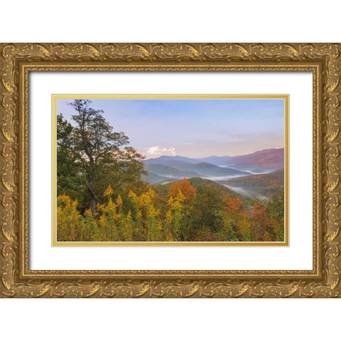 USA, North Carolina Black Mountains overlook Gold Ornate Wood Framed Art Print with Double Matting by Paulson, Don