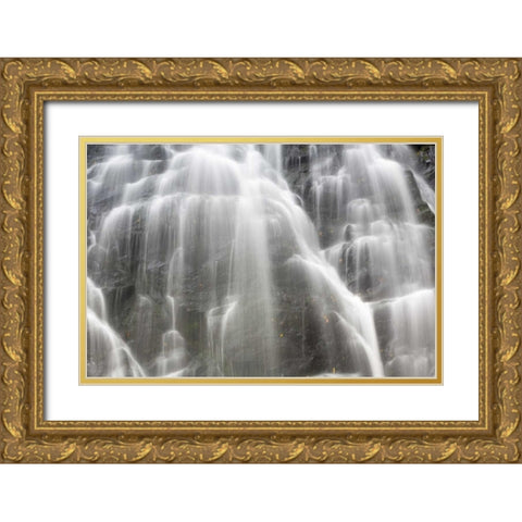 North Carolina, Blue Ridge Crabtree Falls Gold Ornate Wood Framed Art Print with Double Matting by Paulson, Don