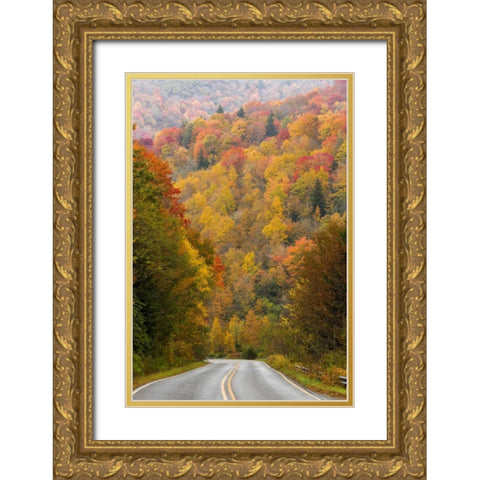 North Carolina Road through autumn forest Gold Ornate Wood Framed Art Print with Double Matting by Paulson, Don