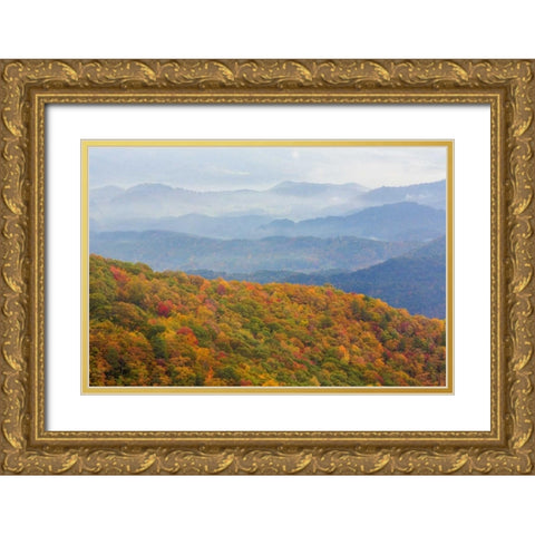 North Carolina, Blue Ridge Parkway Overlook Gold Ornate Wood Framed Art Print with Double Matting by Paulson, Don