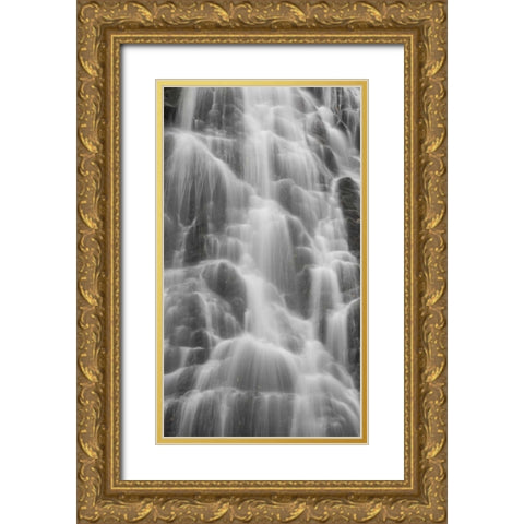 North Carolina, Blue Ridge Crabtree Falls Gold Ornate Wood Framed Art Print with Double Matting by Paulson, Don