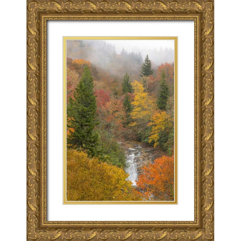 North Carolina, Bubbling Springs Falls in Autumn Gold Ornate Wood Framed Art Print with Double Matting by Paulson, Don